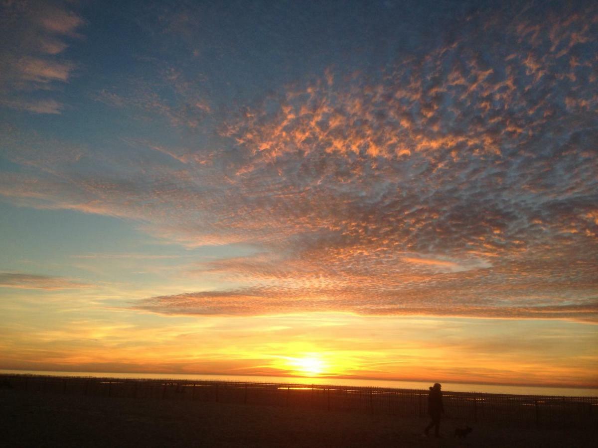 Le Parc De L'Hermitage Le Touquet ภายนอก รูปภาพ